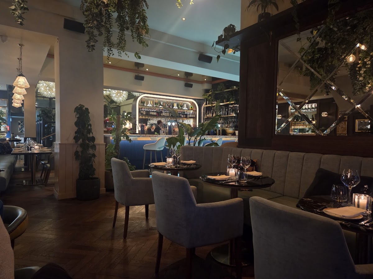 Piccolino Chichester Photos 2